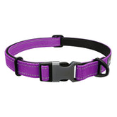 Ferplast Adult Dog Adjustable Nylon Collar Club C15/44 - Purple Color - Confiance Co